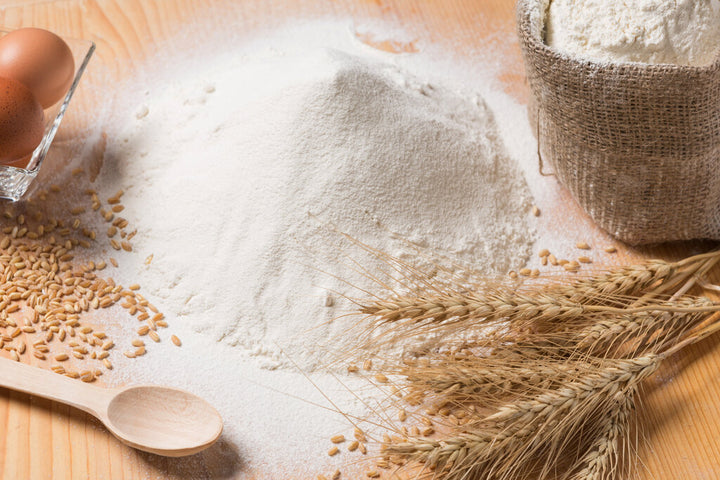 best flour for pasta